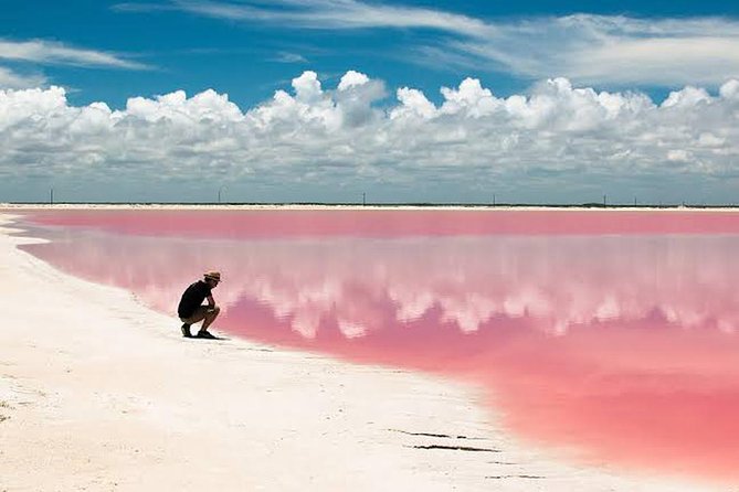 Adventour Day at Coloradas and Rio Lagartos! Tour From Cancun - Tour Highlights