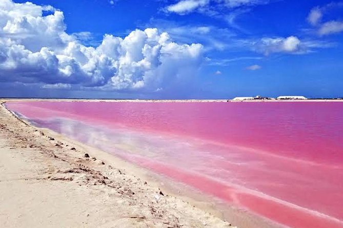 Adventour Day at Coloradas and Rio Lagartos! Tour From Cancun - Salt Extraction in Las Coloradas