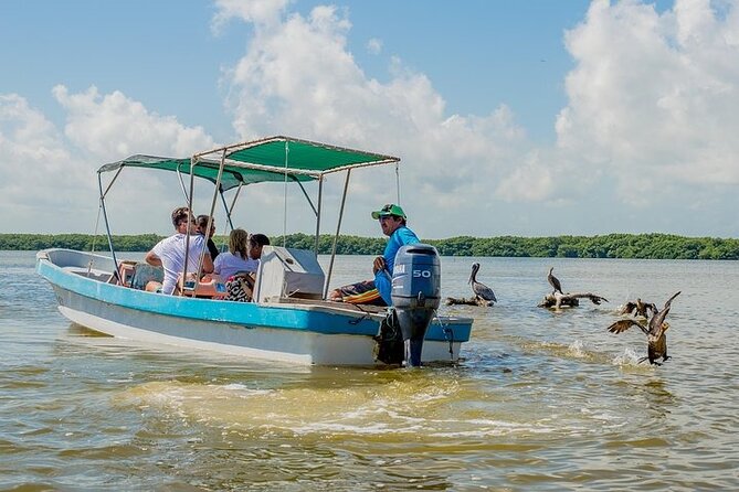 Adventour Day at Coloradas and Rio Lagartos! Tour From Cancun - Flamingos in Their Natural Habitat