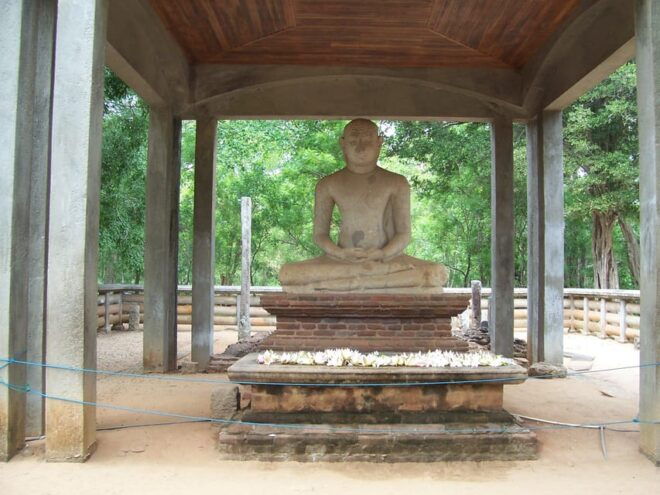 Adventural and Cultural Tour of Sri Lanka - 12 Days Tour - Wildlife Experiences