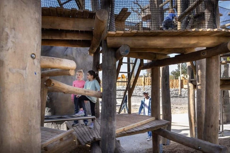 Adventure Alms - Exploring Adventure Alms: What You Can Expect