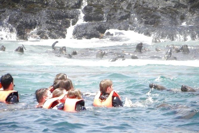 Adventure and Adrenaline, Swimming With SEA Lions! & Visit the Peruvian Islands! - Traveler Photos