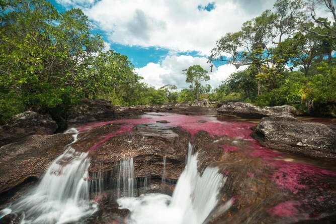 Adventure Awaits: Bogota to Cano Cristales Tour - Trip Details