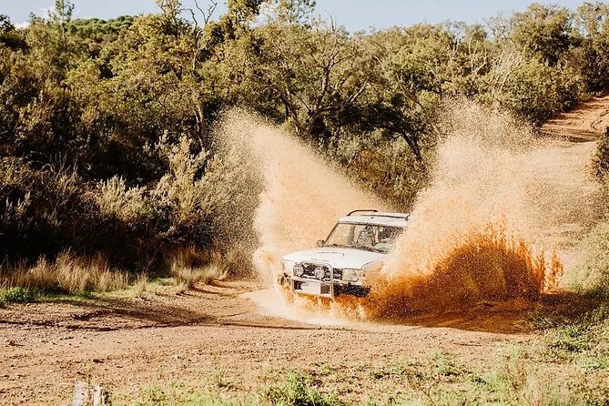 Adventure Between Friends - Private Safari, From 1 to 6 PAX - Language: English and Portuguese Guide