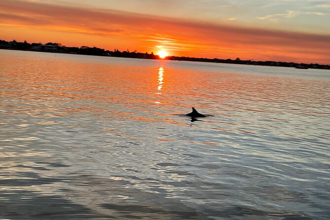 Adventure Boat Tours - Sunset Water Tour in St. Augustine - Whats Included and Meeting/Pickup Details