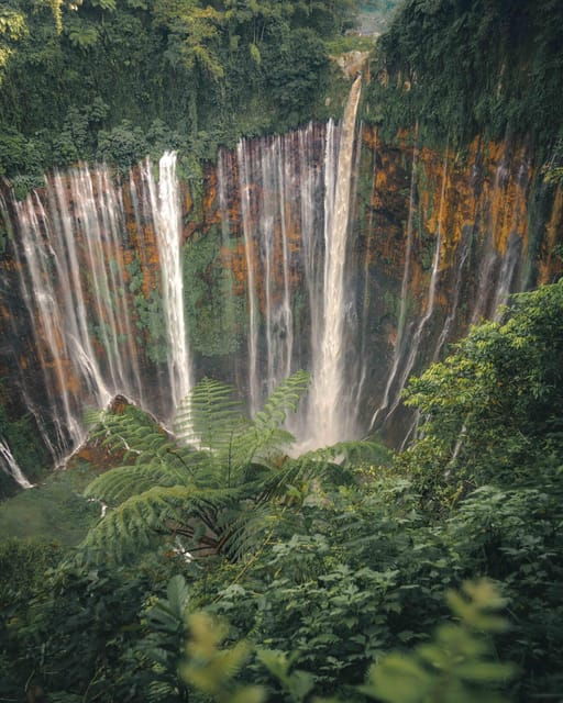 Adventure Bromo Ijen East Java 5D4N - Transportation and Logistics
