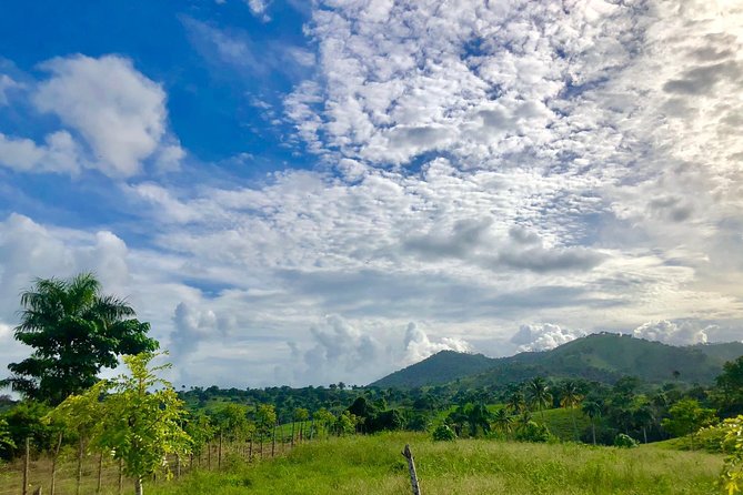 Adventure Bundle: Monkeyland, Ziplines & Buggies Punta Cana - Overview of the Experience