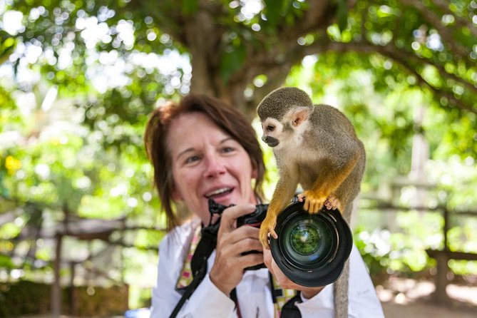 Adventure Bundle: Monkeyland, Ziplines & Buggies Punta Cana - Customer Feedback and Recommendations