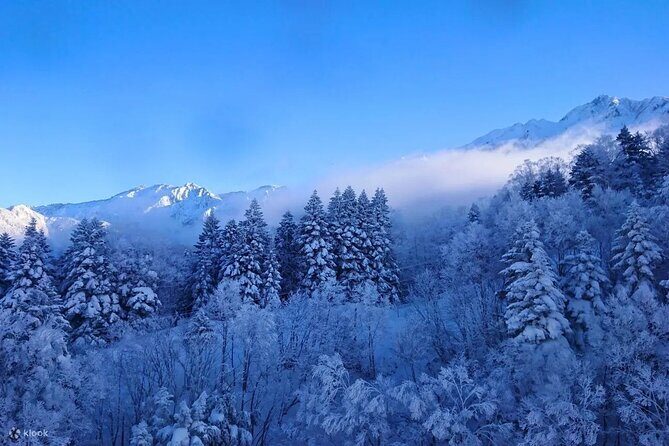 Adventure Cable Car Tour to Shinhotaka Ropeway - An In-Depth Look at the Tour