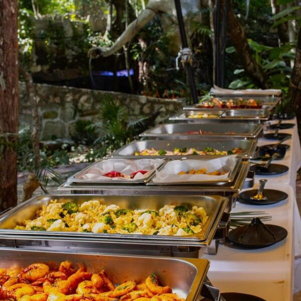 Adventure Cenote Tour With Kayak & Zipline - Activities and Amenities