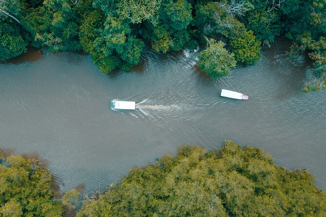 Adventure Combo Tour: Zipline and Tortuguero Canals - Zipline Adventure Highlights