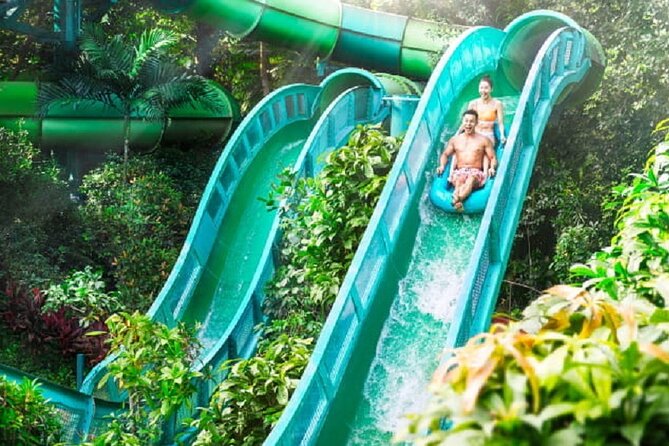 Adventure Cove Waterpark 1 Way Transfer - Overview of Adventure Cove Waterpark
