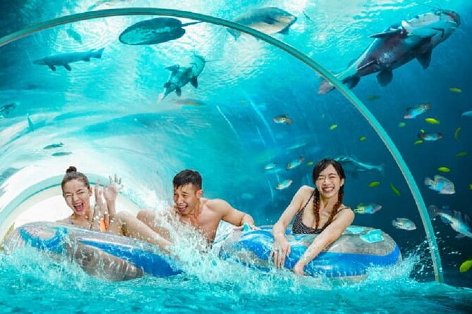 Adventure Cove Waterpark 1 Way Transfer - Snorkeling With Tropical Fish