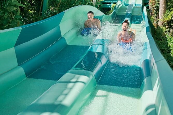Adventure Cove Waterpark 1 Way Transfer - Wide Range of Water Activities