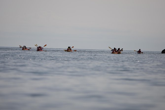 Adventure Dalmatia - Sunset Sea Kayaking & Snorkelling Old Town - Meeting and Pickup