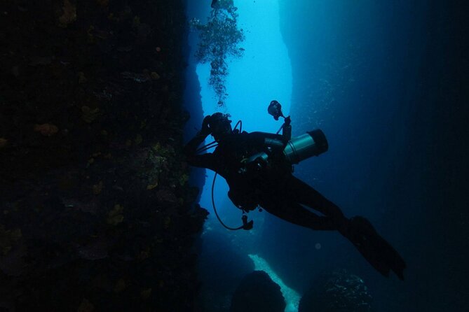 Adventure Dives for Certified Divers in Nea Makri, Athens - Booking and Flexibility