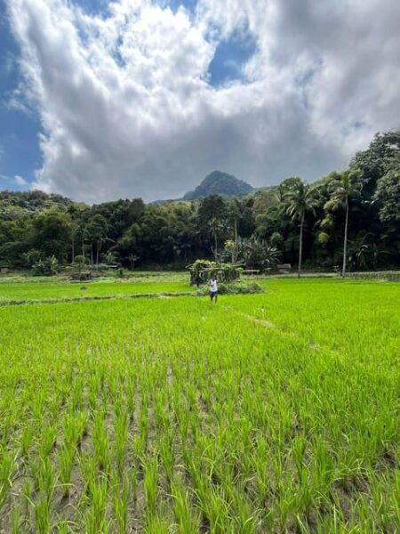 Adventure From Ende to Labuan Bajo - Questions You May Have