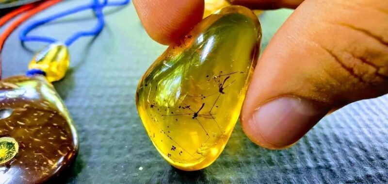 Adventure from Miches: Los Haitises, Caño Hondo, and Yanigua - A Thorough Guide to the Adventure from Miches