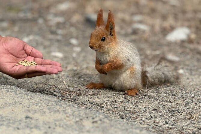 Adventure & Hike in Ala Archa National Park & Bishkek City Tour - An In-Depth Look at the Tour Experience