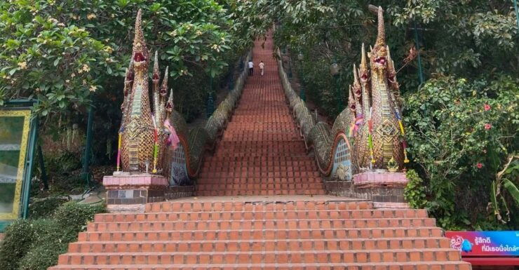 Adventure Hike in Doi Suthep-Pui National Park - Key Points