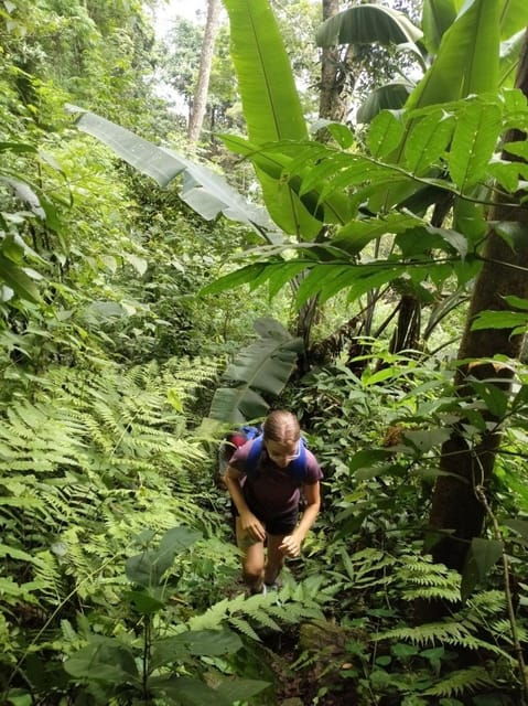 Adventure Hike in Doi Suthep-Pui National Park - Pricing and Booking Details