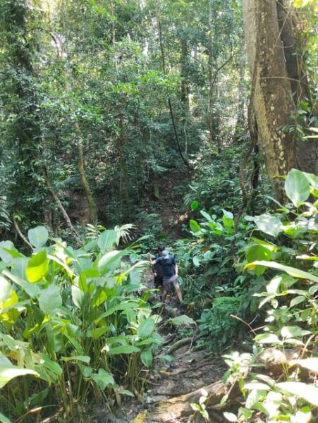 Adventure Hike in Doi Suthep-Pui National Park - Tips for a Great Experience