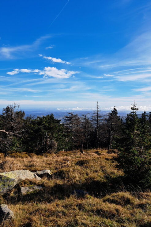Adventure Hiking and Camping in the Harz Mountains: Brocken - Pricing Details
