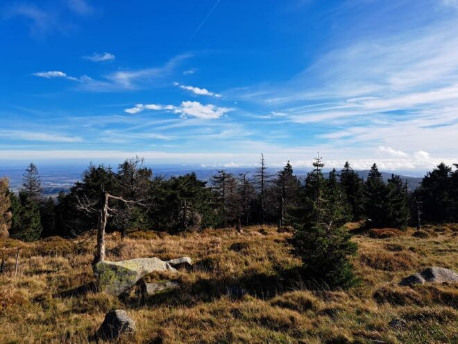 Adventure Hiking and Camping in the Harz Mountains: Brocken - Experience Highlights
