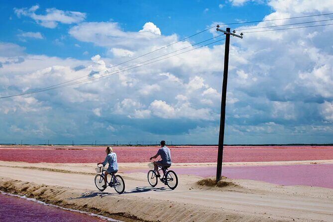 Adventure in Coloradas and Ría Lagartos and Cancunito - Potential Drawbacks or Considerations