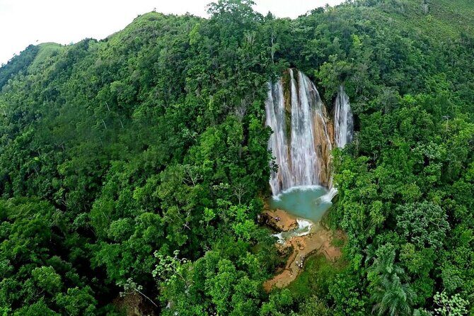 Adventure in Samaná Whale Watching, Limón Waterfall, and More - A Detailed Look at the Tour Experience  