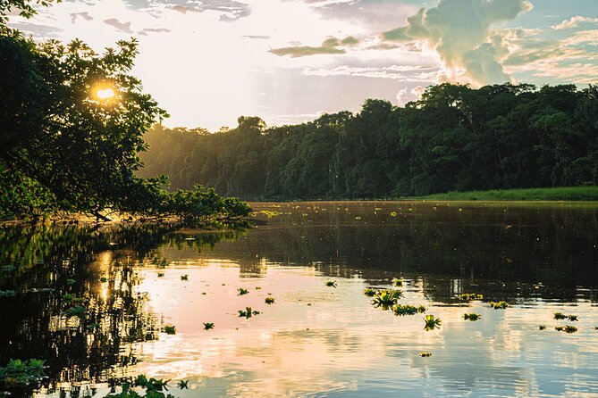 Adventure in the Amazon Jungle 5d/4n at Amazon Mamori Lodge - Lodge Accommodations and Amenities