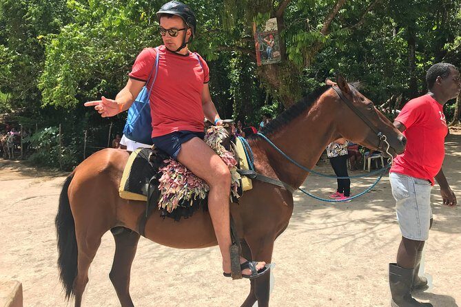 Adventure in the bay of samana and waterfall El limon from punta cana - The Sum Up