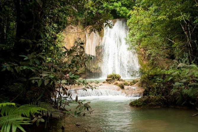 Adventure in the Bay of Samana and Waterfall El Limon From Punta Cana - Pricing and Booking