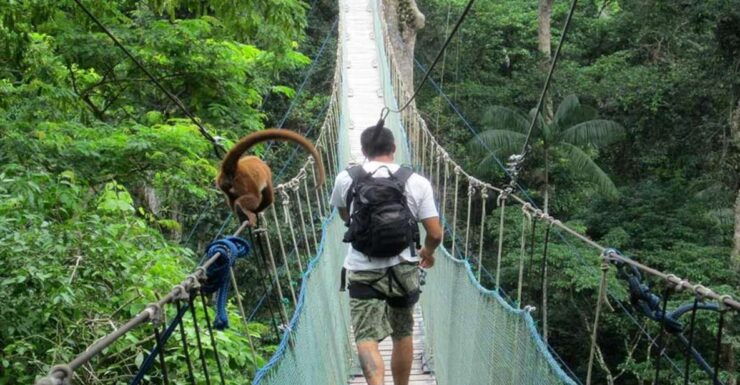 Adventure in the Jungle Zipline, Canopy, Kayak - Adventure Experience