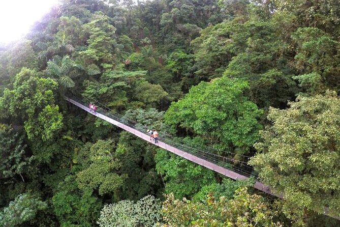 Adventure in Volcano Combo Tour! - Zip Line, Waterfall, Hot Springs and More - Customer Satisfaction Overview