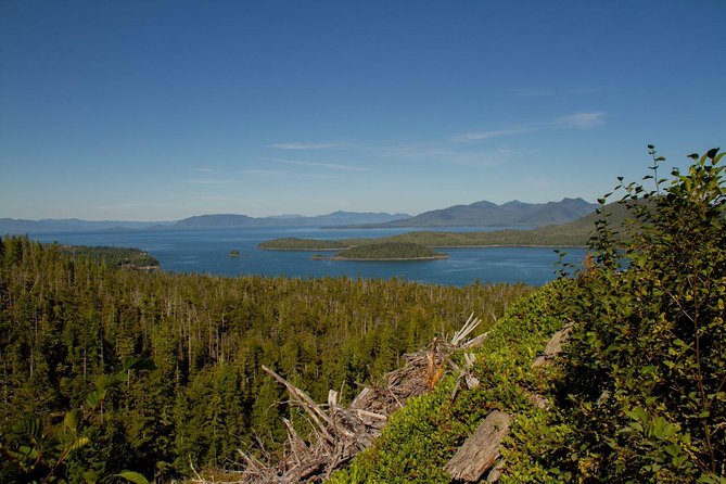 Adventure Kart Expedition- Ketchikan, AK - Tomcar: Unlocking Inaccessible Areas
