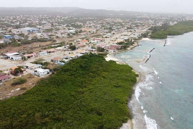 Adventure Kayak & Snorkeling at Reef Island Aruba - Who Will Love This Tour?