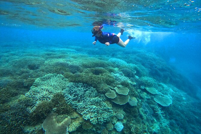Adventure Kayak Tour in Yambaru, Okinawa  - Cancel 24H Prior & Full Refund - Tour Details