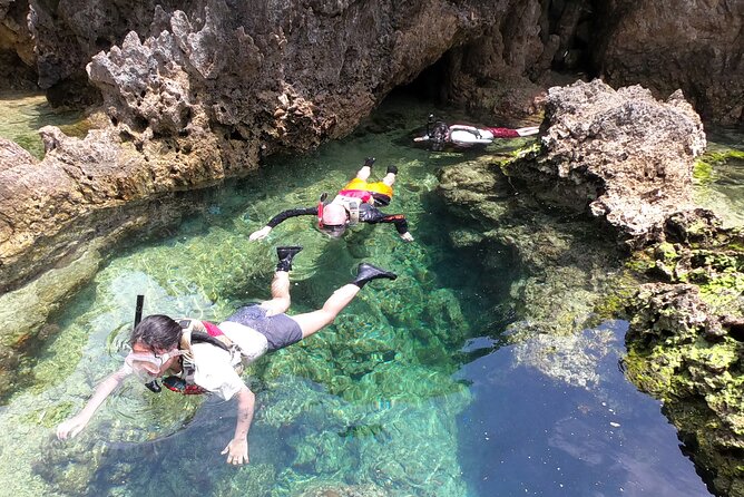 Adventure Kayak Tour in Yambaru, Okinawa  - Cancel 24H Prior & Full Refund - Tour Highlights