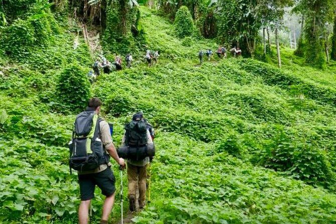 ADVENTURE KOKODA 10-Day Premium Kokoda Campaign Trek Australian Led - FAQs