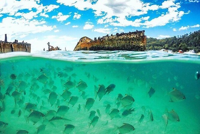 Adventure Moreton Island Day Pass - What to Expect