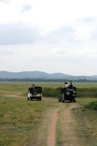 Adventure Odyssey in Sri Lanka - Adventure Activities