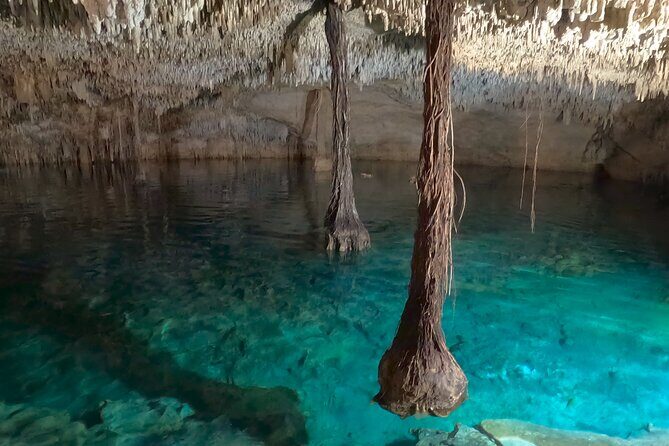 Adventure on the cenote route with zip line and typical lunch - Final Thoughts