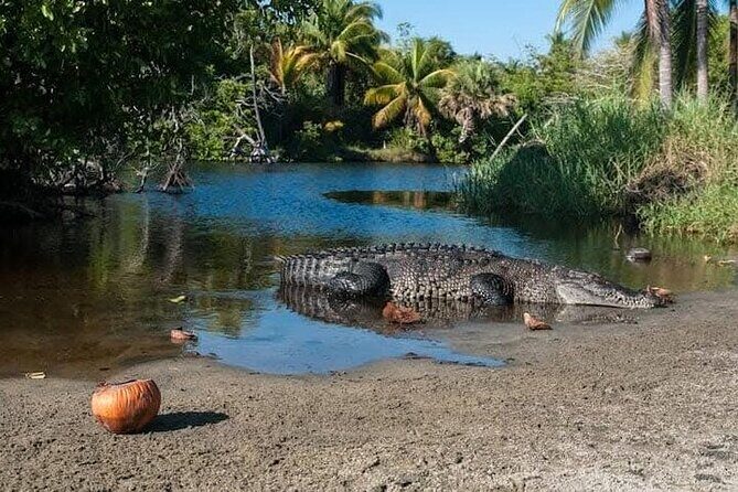 Adventure on the Emerald Coast Ventanilla, Mazunte, Puerto Ángel - Why This Tour Works