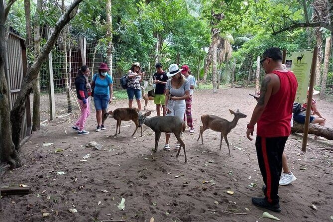 Adventure on the Emerald Coast Ventanilla, Mazunte, Puerto Ángel - The Sum Up