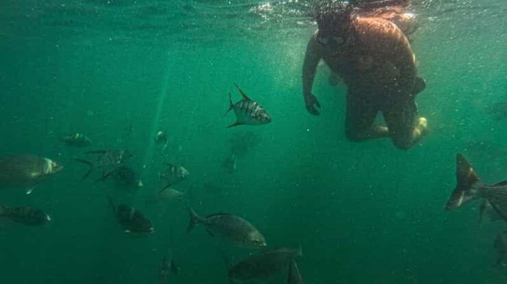 Adventure Park and Snorkeling Colomitos/Majahuitas Beach - Activity Highlights
