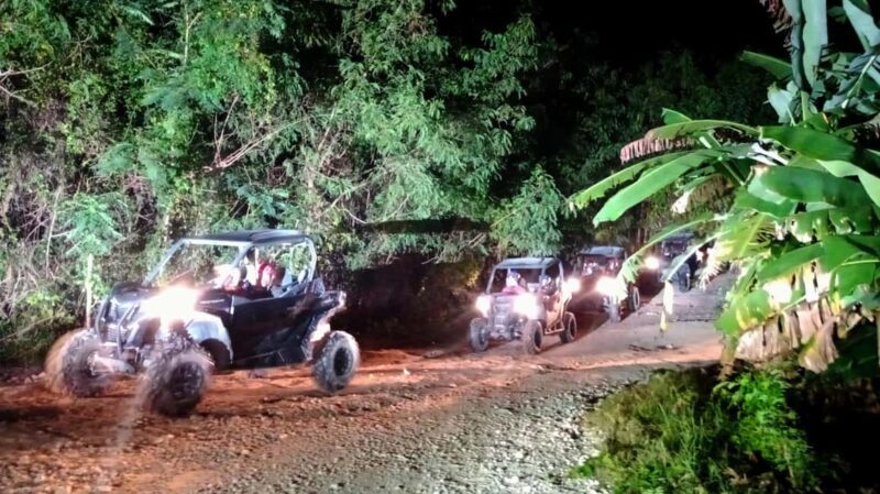 Adventure Park: Polaris at Night, Waterfall Pool Party, and Surf & Turf Dinner - An Authentic Night in the Dominican Jungle