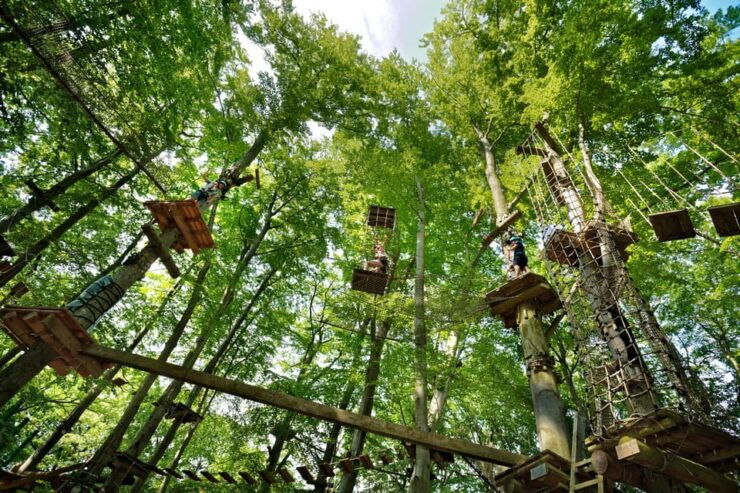 Adventure Park Potsdam: Adventure Climbing in the Trees - Key Points