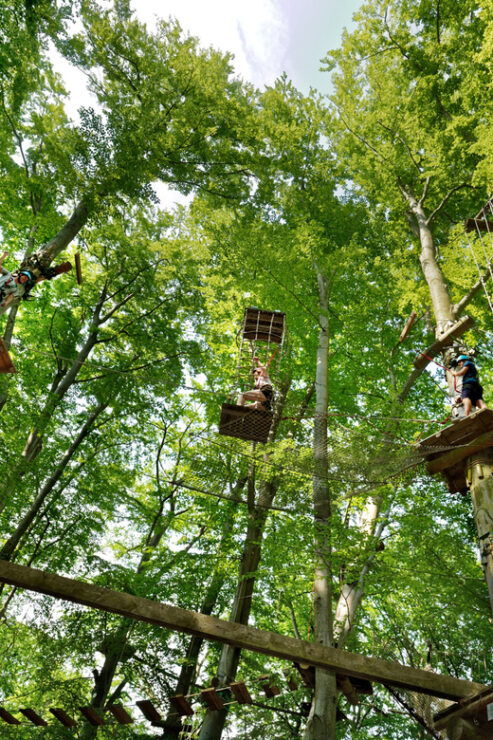 Adventure Park Potsdam: Adventure Climbing in the Trees - Pricing and Reservation Options