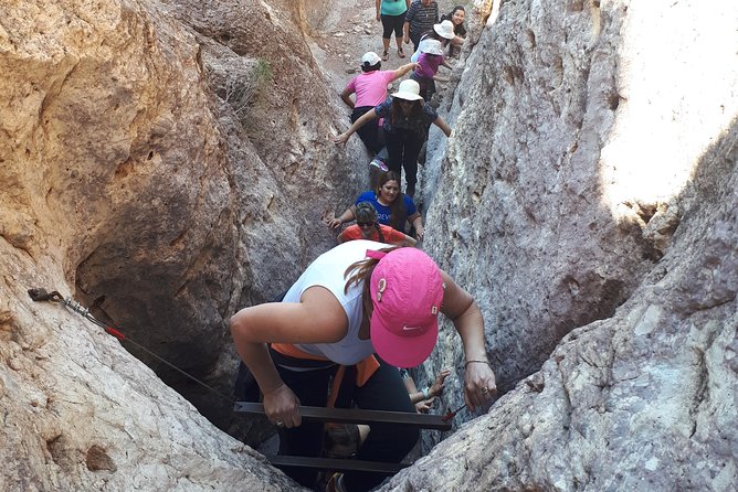 Adventure Park - Unforgettable Challenge! - Visual Experiences and Options